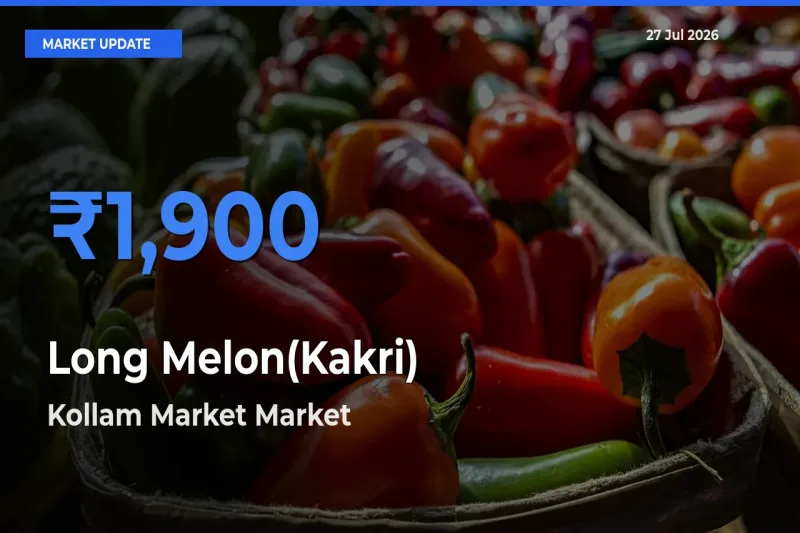 Kollam Market, Keralam Records Highest ₹1,900 Rate for Long Melon(Kakri)