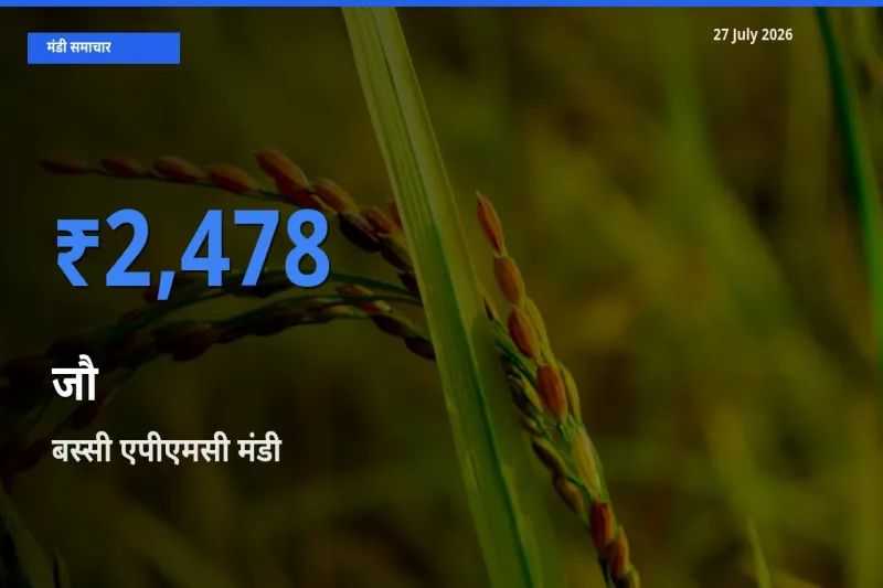 आज जौ के सबसे ज़्यादा दाम बस्सी एपीएमसी, जयपुर, राजस्थान मंडी में दर्ज