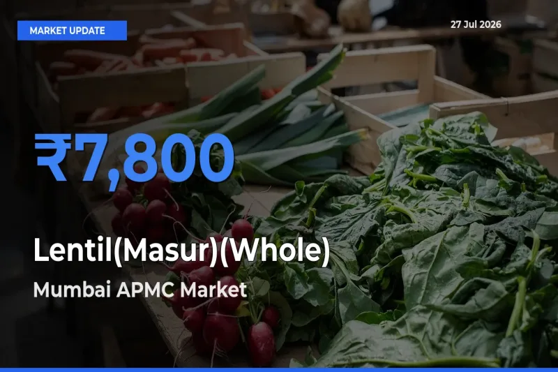 Farmers Prefer Mumbai APMC, Maharashtra as Lentil(Masur)(Whole) Hits Highest Rate