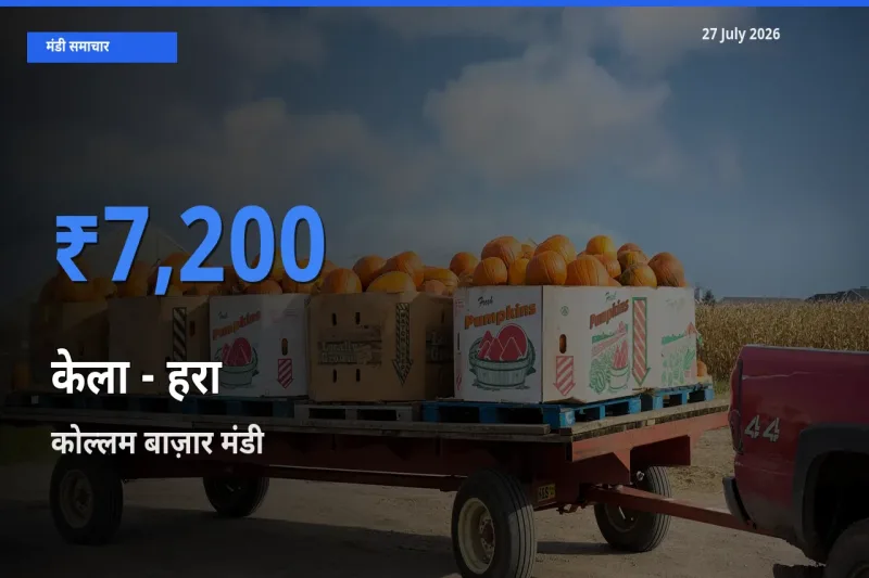 किसानों की पसंद बना कोल्लम बाज़ार, केरलम, केला - हरा के सबसे अच्छे दाम