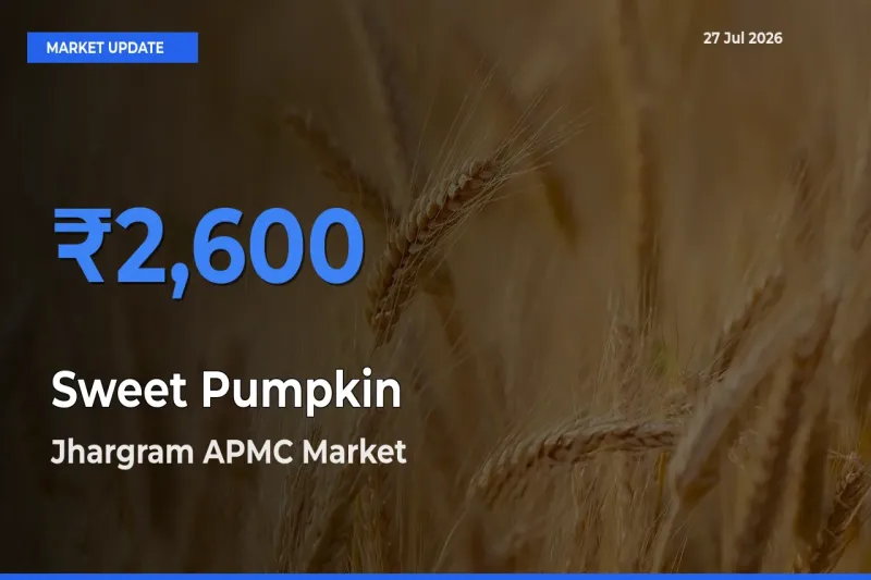 Jhargram APMC, West Bengal Records Highest ₹2,600 Rate for Sweet Pumpkin