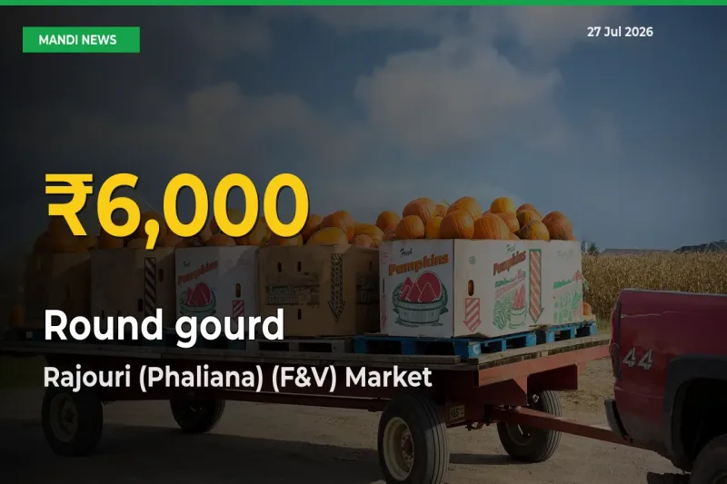 Round gourd Mandi Rate Surges Today in Rajouri (Phaliana) (F&V), Jammu and Kashmir – Highest Level in 30 Days
