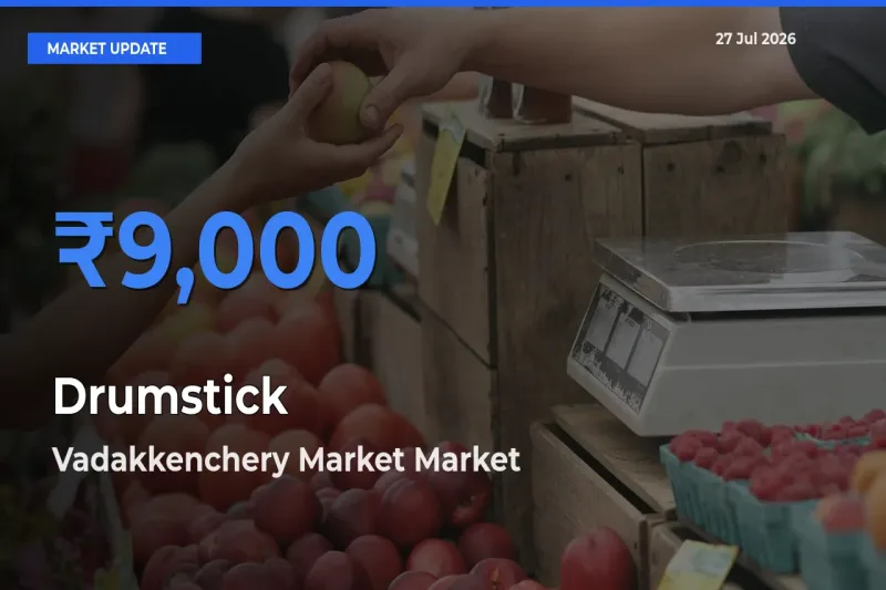Vadakkenchery Market, Palakad, Keralam Tops Drumstick Rates – July 27 Market Update