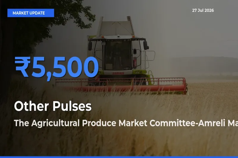 The Agricultural Produce Market Committee-Amreli, Gujarat Emerges as Top Mandi for Other Pulses Prices Today