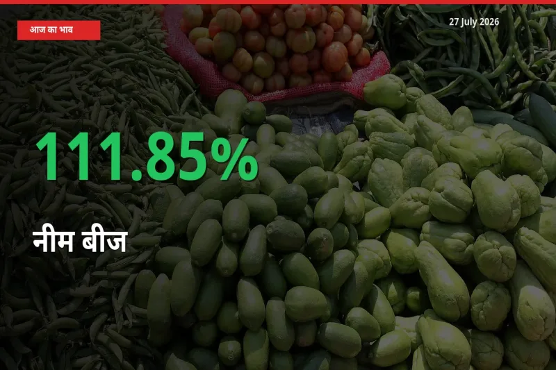 नीम बीज 111.85% उछला, मंडी