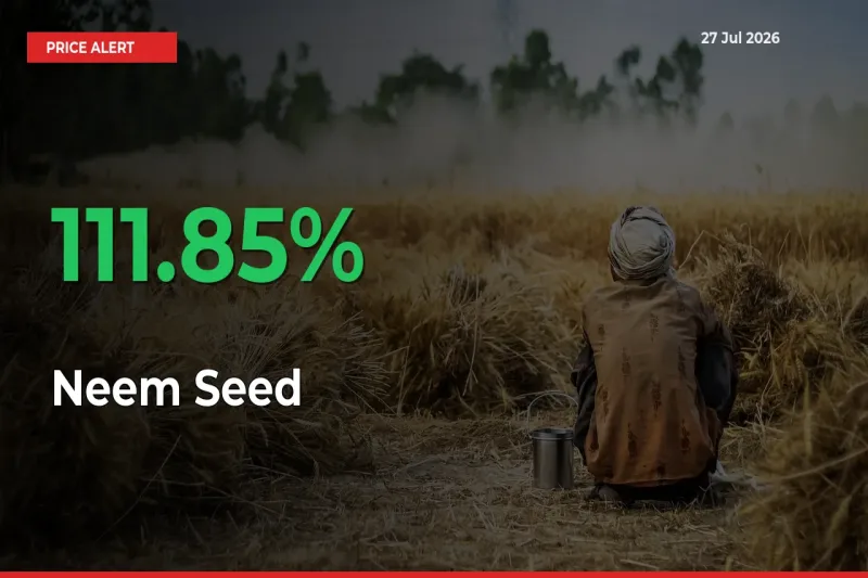 Neem Seed Prices Rise 111.85% in a Day at Major Mandis