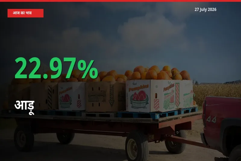 आज का मंडी भाव: आड़ू के दाम मंडी में 22.97% ऊपर