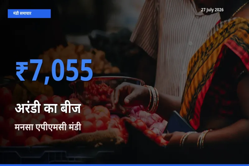 आज अरंडी का बीज के सबसे ज़्यादा दाम मनसा एपीएमसी, गांधीनगर, गुजरात मंडी में दर्ज