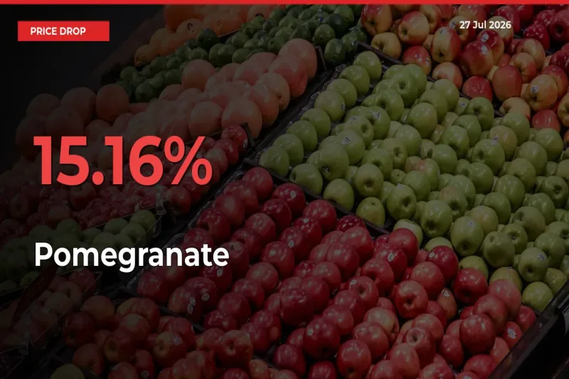 15.16% Drop in Pomegranate Prices – Mandi Sees Sudden Fall