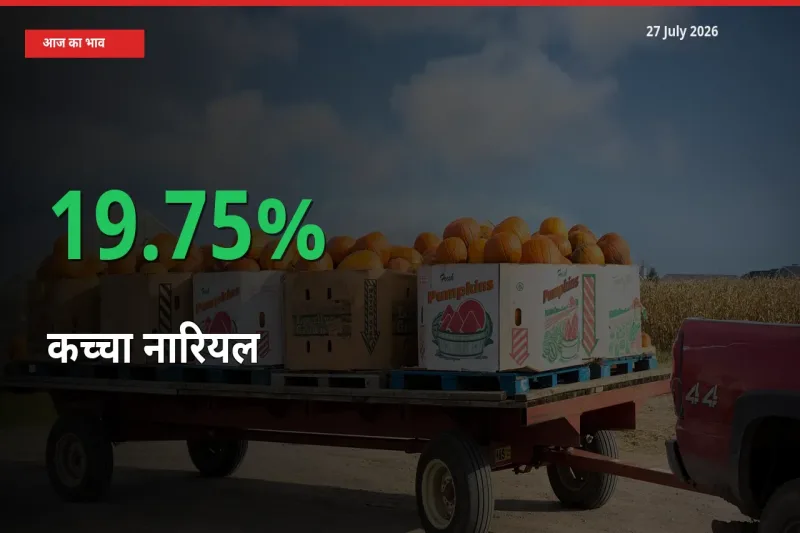 कच्चा नारियल 19.75% उछला, मंडी