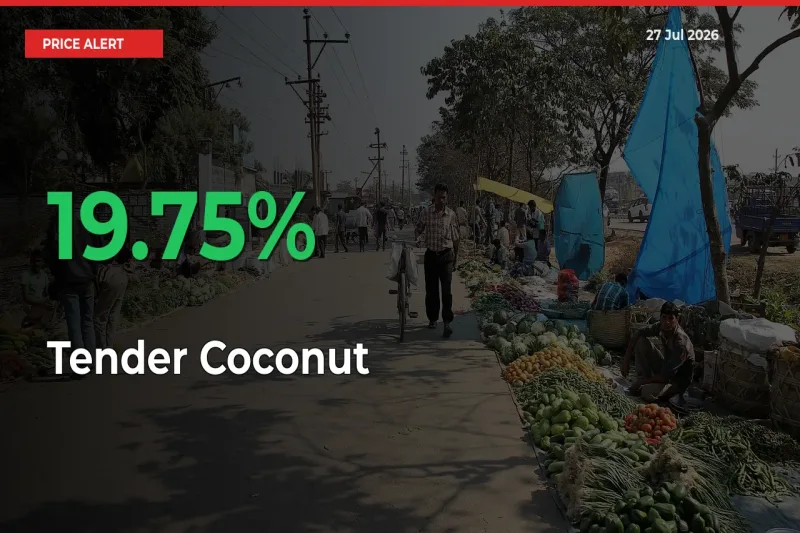 Tender Coconut Prices Rise 19.75% in a Day at Major Mandis