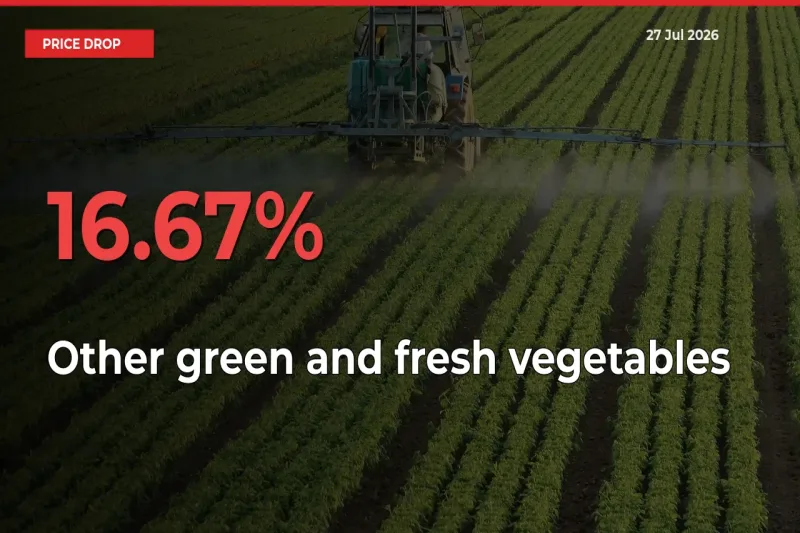 Other green and fresh vegetables Prices Drop 16.67% in 24 Hours at Major Mandis