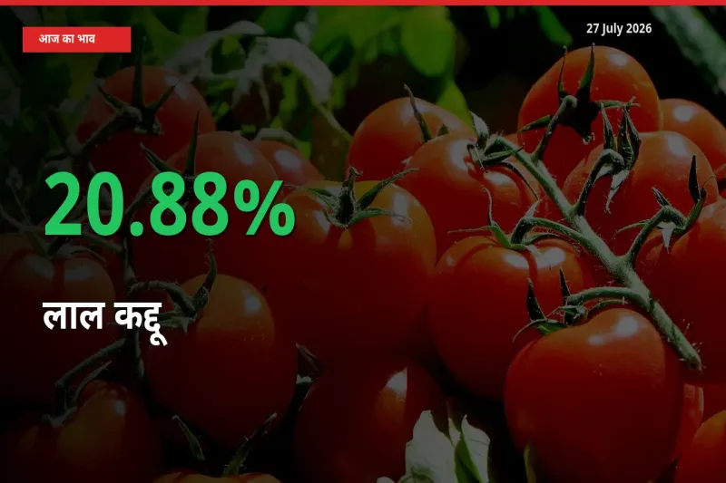 स्थानीय मंडी में लाल कद्दू के दाम अचानक 20.88% उछले, किसान सतर्क