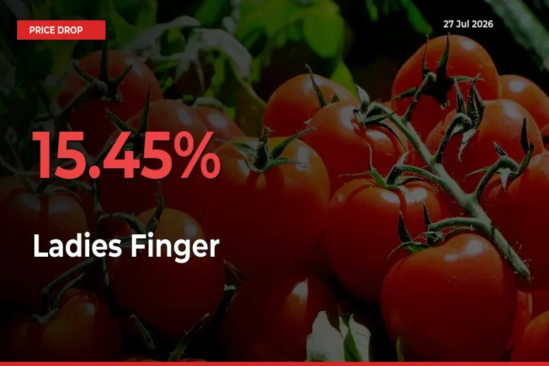 This Mandi Records 15.45% Fall in Ladies Finger Prices