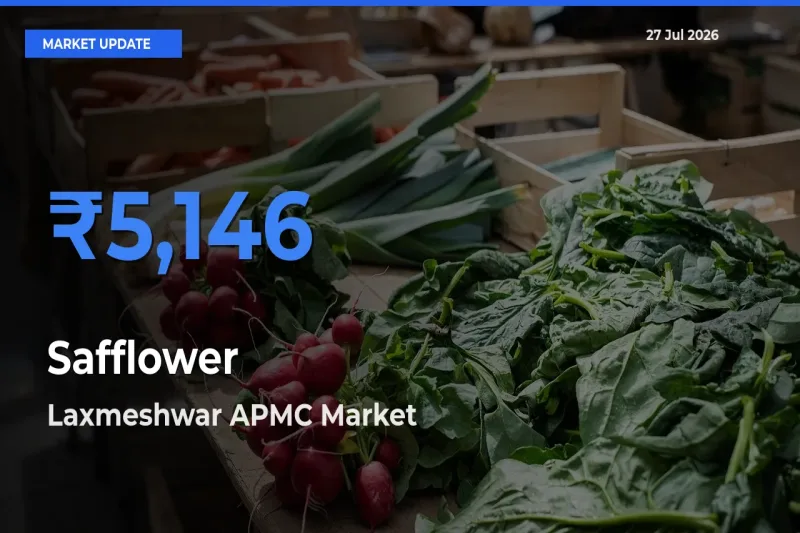 Laxmeshwar APMC, Gadag, Karnataka Tops Safflower Rates – July 27 Market Update