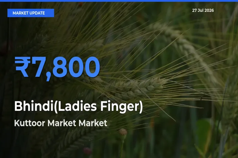 Farmers Prefer Kuttoor Market, Pathanamthitta, Keralam as Bhindi(Ladies Finger) Hits Highest Rate