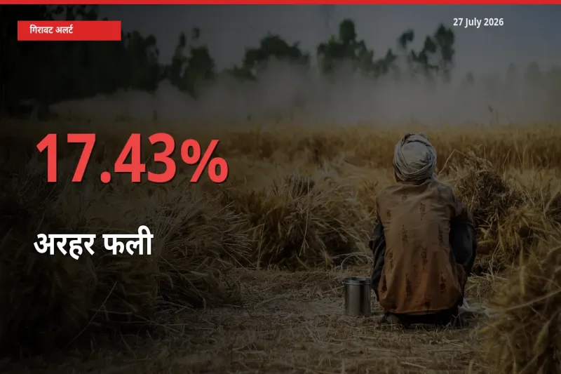 अचानक झटका! मंडी में अरहर फली के दाम 17.43% टूटे