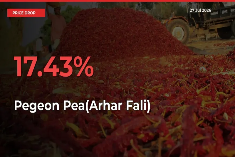 Farmers Alert as Pegeon Pea(Arhar Fali) Prices Slide 17.43% in Local Mandis