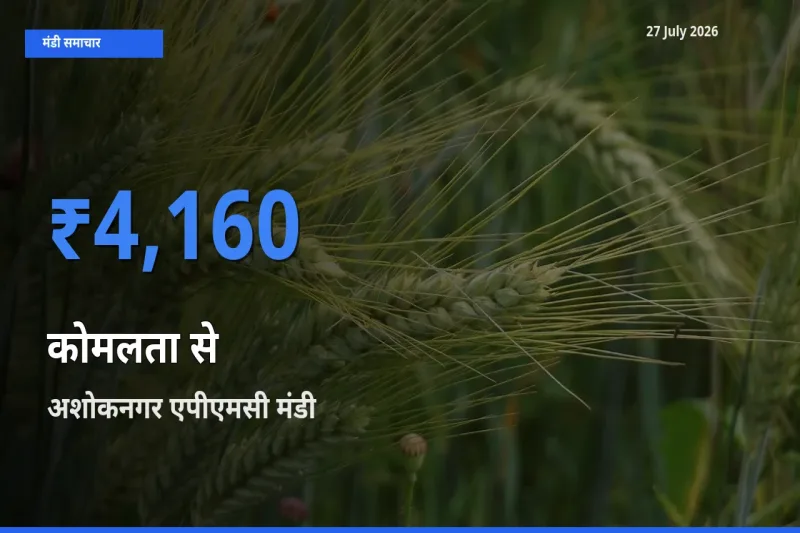 किसानों की पसंद बना अशोकनगर एपीएमसी, मध्य प्रदेश, कोमलता से के सबसे अच्छे दाम