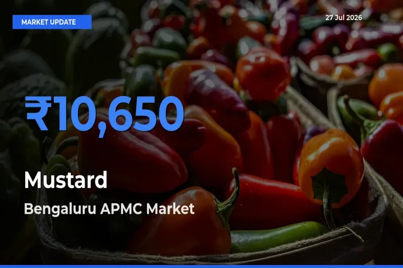 Bengaluru APMC, Karnataka Records Highest ₹10,650 Rate for Mustard