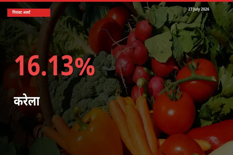 करेला के दाम प्रमुख मंडी में 16.13% गिरे, 24 घंटे में बड़ा बदलाव