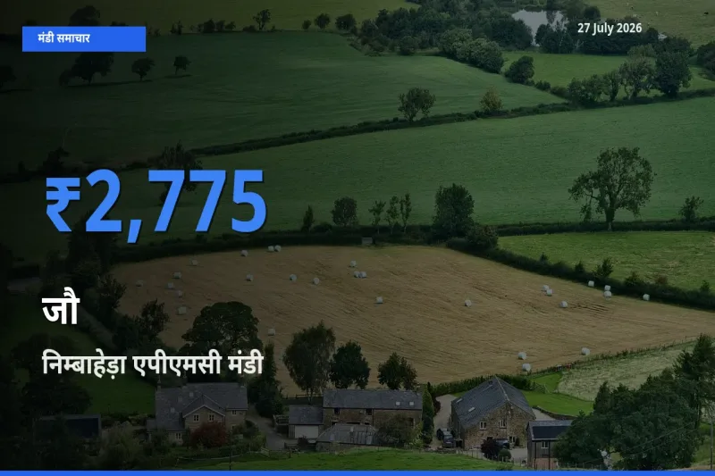 आज का मंडी भाव: जौ के सबसे ज़्यादा दाम निम्बाहेड़ा एपीएमसी, चित्तौड़गढ़, राजस्थान में