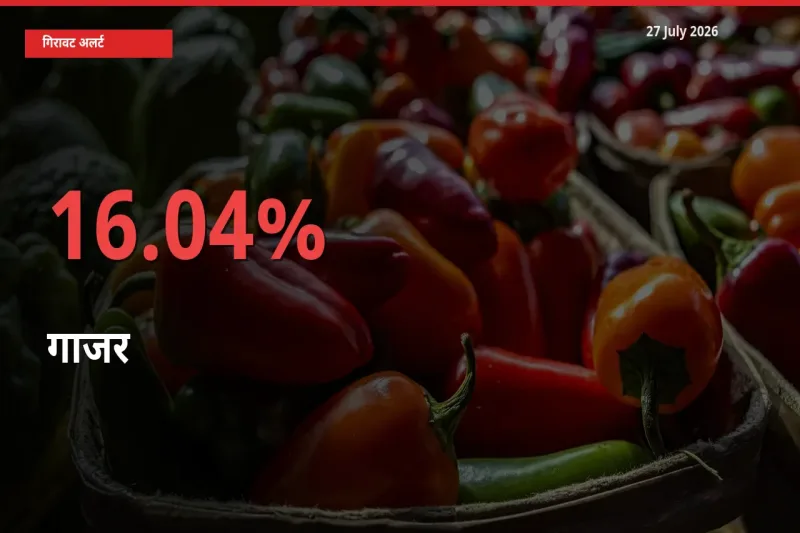16.04% की गिरावट! मंडी में गाजर के दाम अचानक टूटे