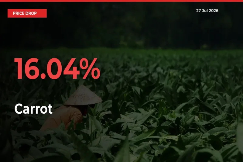 This Mandi Records 16.04% Fall in Carrot Prices