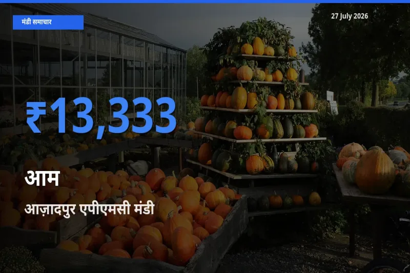 आज़ादपुर एपीएमसी, दिल्ली में आम का आज सबसे ऊँचा भाव