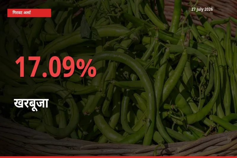 खरबूजा के दाम प्रमुख मंडी में 17.09% गिरे, 24 घंटे में बड़ा बदलाव