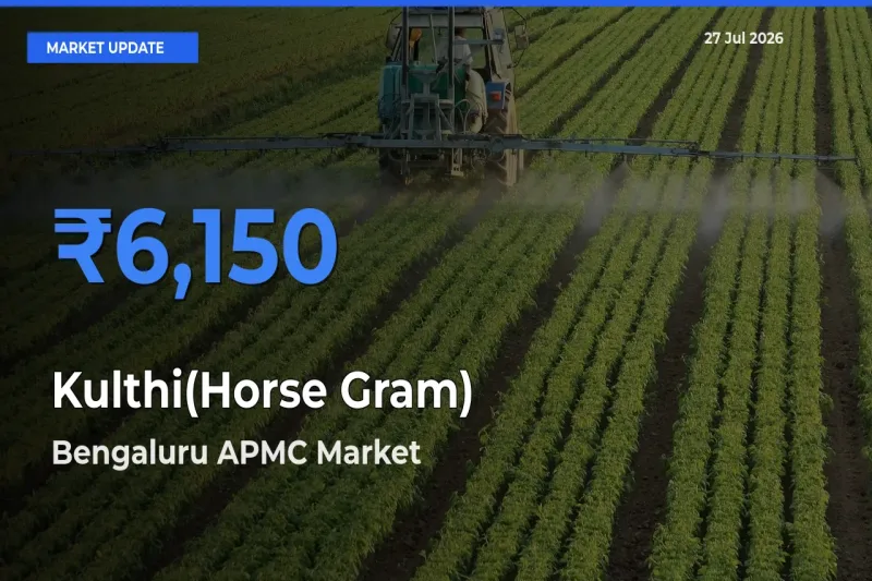 Farmers Prefer Bengaluru APMC, Karnataka as Kulthi(Horse Gram) Hits Highest Rate