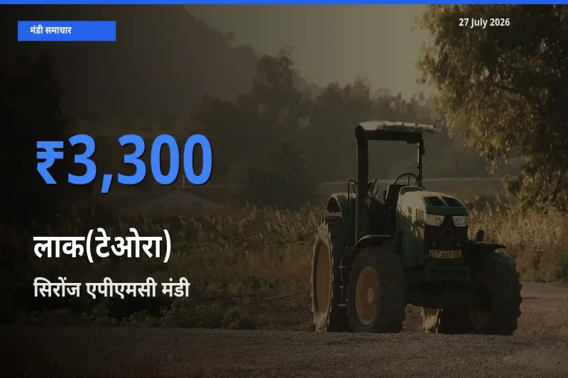 आज का मंडी भाव: लाक(टेओरा) के सबसे ज़्यादा दाम सिरोंज एपीएमसी, विदिशा, मध्य प्रदेश में