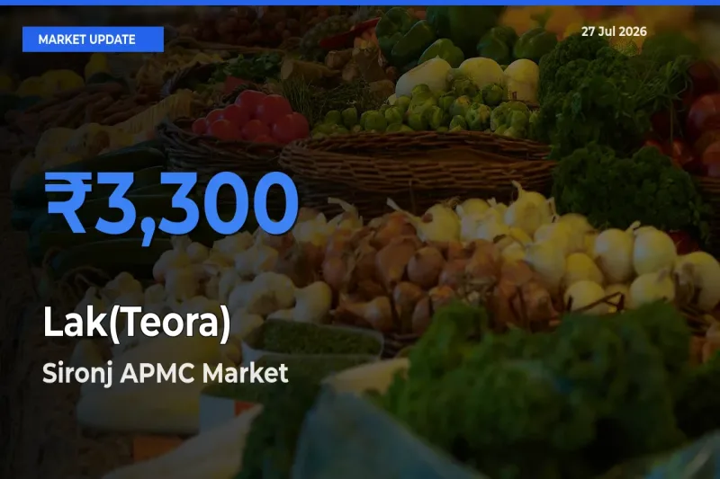 Sironj APMC, Vidisha, Madhya Pradesh Emerges as Top Mandi for Lak(Teora) Prices Today