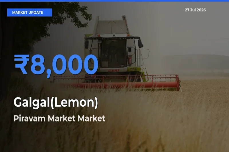 Piravam Market, Ernakulam, Keralam Emerges as Top Mandi for Galgal(Lemon) Prices Today