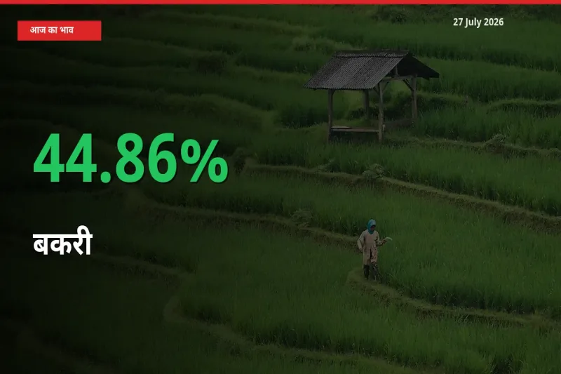 27 July अपडेट: बकरी के दाम मंडी में 44.86% उछले