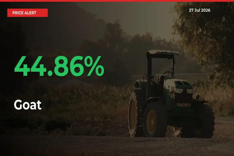 44.86% Spike in Goat Prices – Mandi Sees Sudden Rally