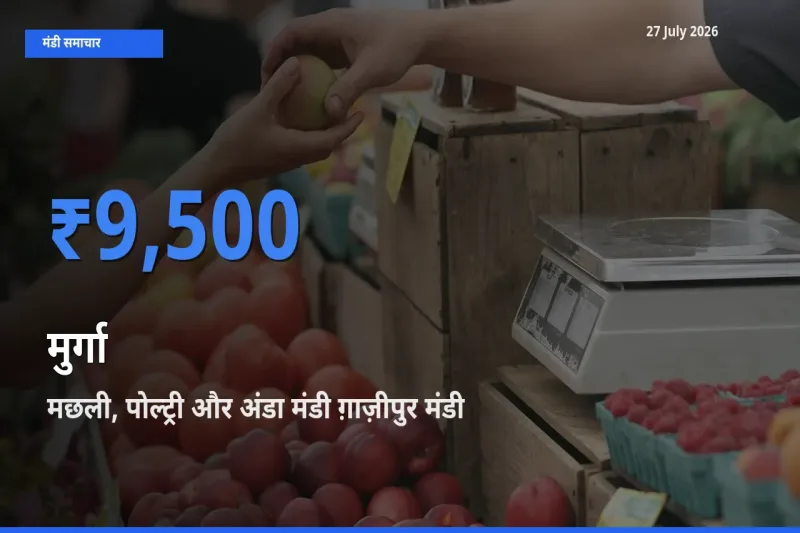 आज मुर्गा के सबसे ज़्यादा दाम मछली, पोल्ट्री और अंडा मंडी ग़ाज़ीपुर, दिल्ली मंडी में दर्ज