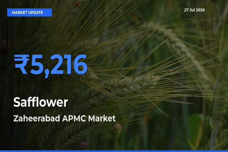 Zaheerabad APMC, Sangareddy, Telangana Leads as Top Mandi for Safflower Prices