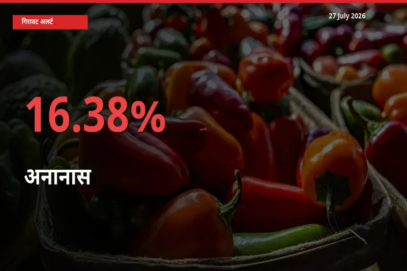 अचानक झटका! मंडी में अनानास के दाम 16.38% टूटे