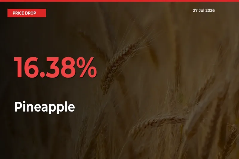 Why Pineapple Prices Fell 16.38% in a Day at Mandis
