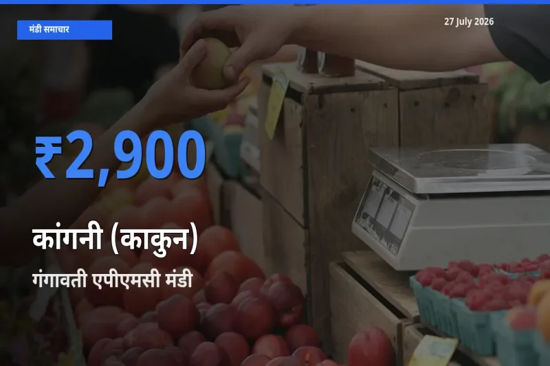 आज कांगनी (काकुन) के सबसे ज़्यादा दाम गंगावती एपीएमसी, कोप्पल, कर्नाटक मंडी में दर्ज