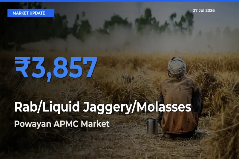 Powayan APMC, Shahjahanpur, Uttar Pradesh Tops Rab/Liquid Jaggery/Molasses Mandi Rates Today
