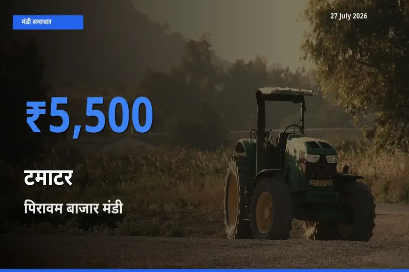 पिरावम बाजार, एर्नाकुलम, केरलम में टमाटर का आज सबसे ऊँचा भाव
