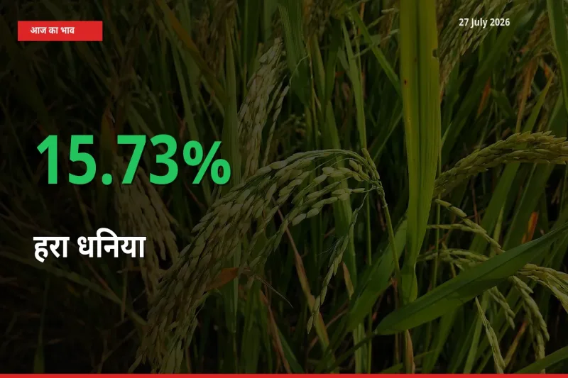 स्थानीय मंडी में हरा धनिया के दाम अचानक 15.73% उछले, किसान सतर्क