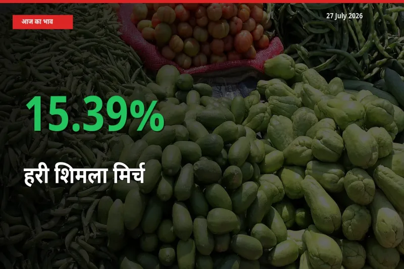 हरी शिमला मिर्च 15.39% उछला, मंडी