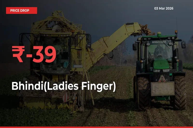 Bhindi(Ladies Finger) Falls 39.05% at Mandis