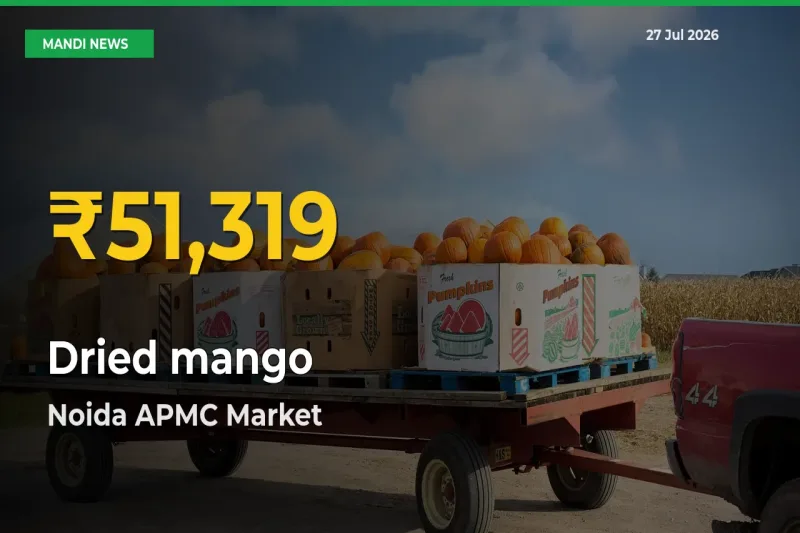 Noida APMC, Ghaziabad, Uttar Pradesh Leads as Dried mango Hits Highest Rate – July 27 Update