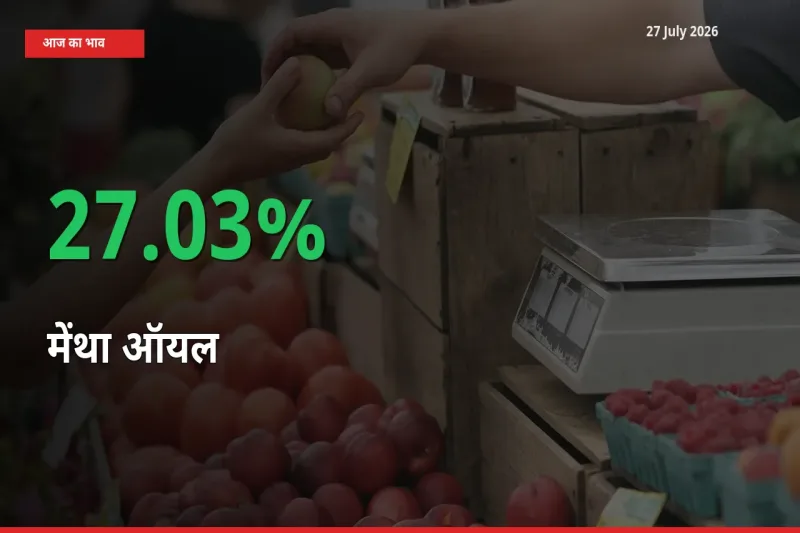 तेज़ तेजी! मंडी में मेंथा ऑयल के दाम 27.03% चढ़े
