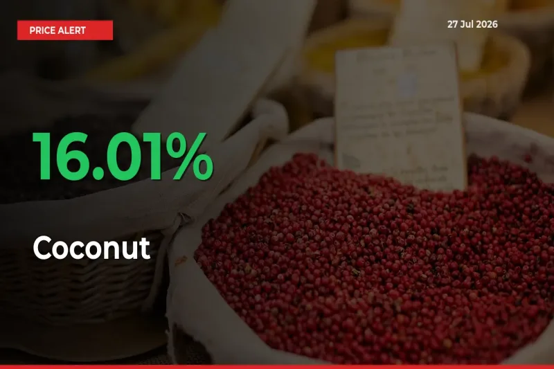 Coconut Prices Rise 16.01% in a Day at Major Mandis