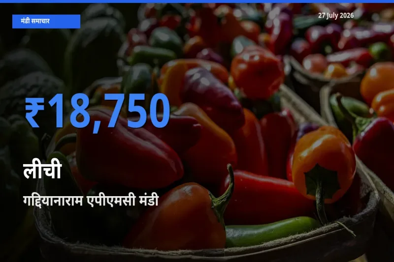 गद्दियानाराम एपीएमसी, रंगा रेड्डी, तेलंगाना में लीची का आज सबसे ऊँचा भाव